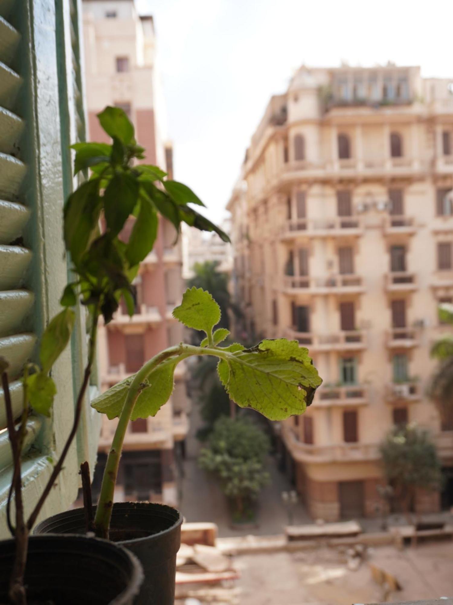 Rhala Hostel Egypt Cairo Ngoại thất bức ảnh